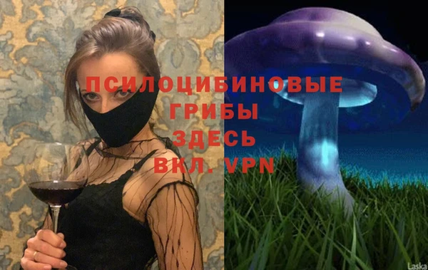 PSILOCYBIN Новодвинск