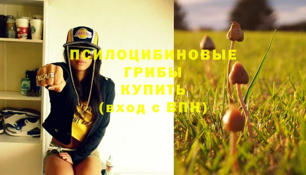 винт Нефтегорск