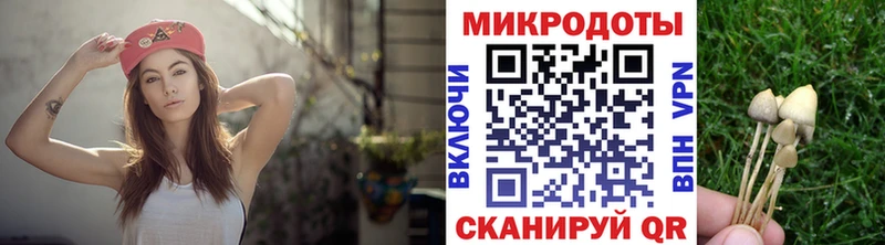 Псилоцибиновые грибы ЛСД как найти закладки Костомукша