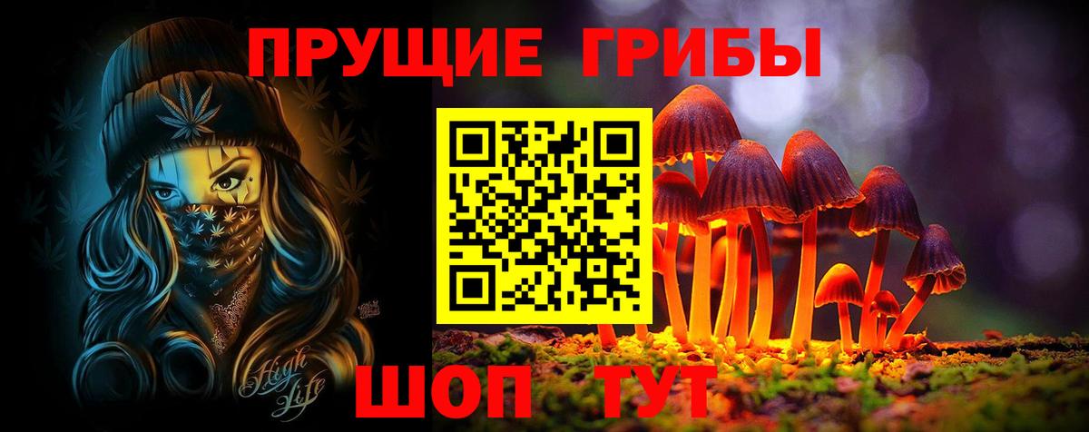 Галлюциногенные грибы MAGIC MUSHROOMS  Вход с VPN  Костомукша 